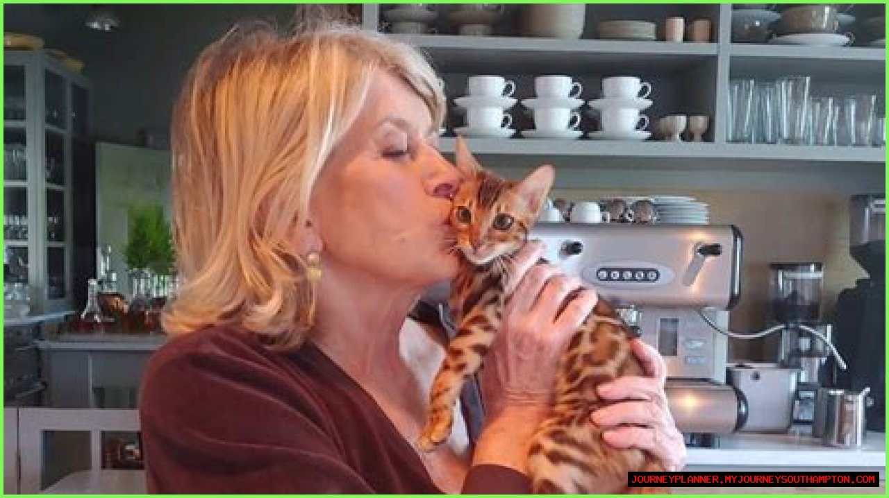 Martha Stewart's Feline Friends: A Deep Dive Into Her Affection For Cats
